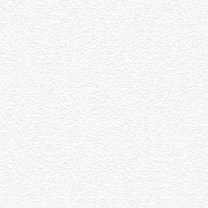 Meet your Posher, Asha